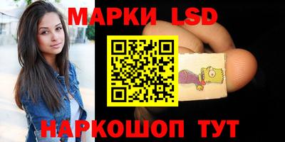 шишки Кандалакша