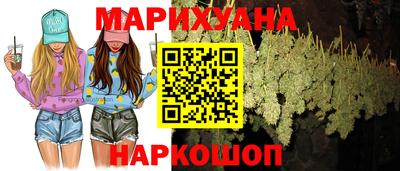 шишки Кандалакша