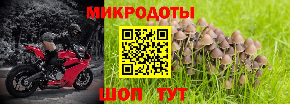 Лабинск  Псилоцибиновые грибы GOLDEN TEACHER  Псилоцибиновые грибы GOLDEN TEACHER  Вход с VPN 