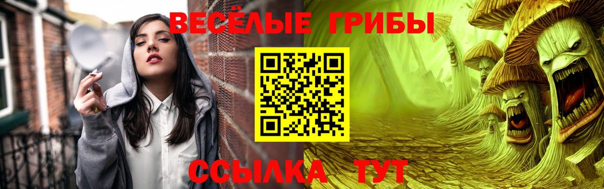 Галлюциногенные грибы Cubensis  Лабинск  магазин продажи   Псилоцибиновые грибы Psilocybe 