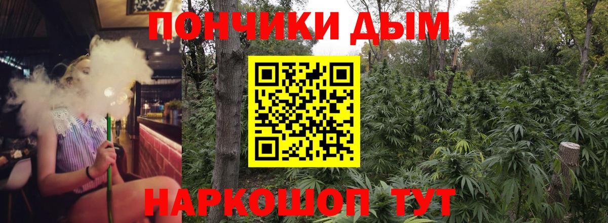 Марихуана марихуана  Марихуана Bruce Banner  Лабинск 